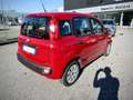 Fiat Panda 1.2 Easy 69cv E6 "PREZZO REALE SENZA VINCOLI" Rouge - thumbnail 4