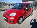 Fiat Panda 1.2 Easy 69cv E6 "PREZZO REALE SENZA VINCOLI" Rouge - thumbnail 1