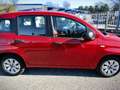 Fiat Panda 1.2 Easy 69cv E6 "PREZZO REALE SENZA VINCOLI" Rouge - thumbnail 5