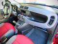 Fiat Panda 1.2 Easy 69cv E6 "PREZZO REALE SENZA VINCOLI" Rouge - thumbnail 11