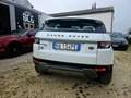 Land Rover Range Rover Evoque 5p 2.2 td4 Prestige 150cv - thumbnail 5