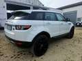 Land Rover Range Rover Evoque 5p 2.2 td4 Prestige 150cv - thumbnail 4