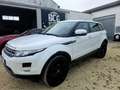 Land Rover Range Rover Evoque 5p 2.2 td4 Prestige 150cv - thumbnail 2