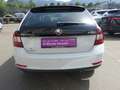Skoda Rapid/Spaceback Rapid Spaceback 1,2 TSI Ambition Green tec Weiß - thumbnail 6