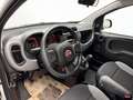 Fiat New Panda City Cross 1.0 FireFly Hybrid Weiß - thumbnail 11