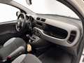 Fiat New Panda City Cross 1.0 FireFly Hybrid Weiß - thumbnail 14