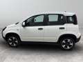 Fiat New Panda City Cross 1.0 FireFly Hybrid Weiß - thumbnail 6