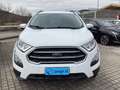 Ford EcoSport 1.0 EcoBoost 125 CV Start&Stop Plus Weiß - thumbnail 3