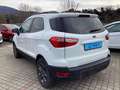 Ford EcoSport 1.0 EcoBoost 125 CV Start&Stop Plus Bianco - thumbnail 4