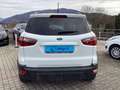 Ford EcoSport 1.0 EcoBoost 125 CV Start&Stop Plus Blanc - thumbnail 7