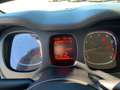 Fiat Panda 1.0 firefly hybrid PROMO FINANZIAMENTO Gris - thumbnail 10