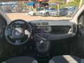 Fiat Panda 1.0 firefly hybrid PROMO FINANZIAMENTO Gris - thumbnail 8