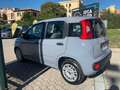Fiat Panda 1.0 firefly hybrid PROMO FINANZIAMENTO Gris - thumbnail 6