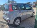 Fiat Panda 1.0 firefly hybrid PROMO FINANZIAMENTO Gris - thumbnail 4