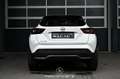 Nissan Juke 1.0 DIG-T 114 DCT Acenta Pickerl NEU EXP € 14.900 Weiß - thumbnail 4