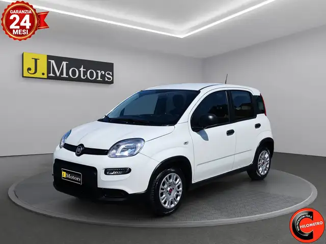 2023 Fiat Panda in White for sale