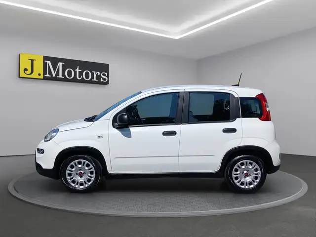 Fiat Panda view 2