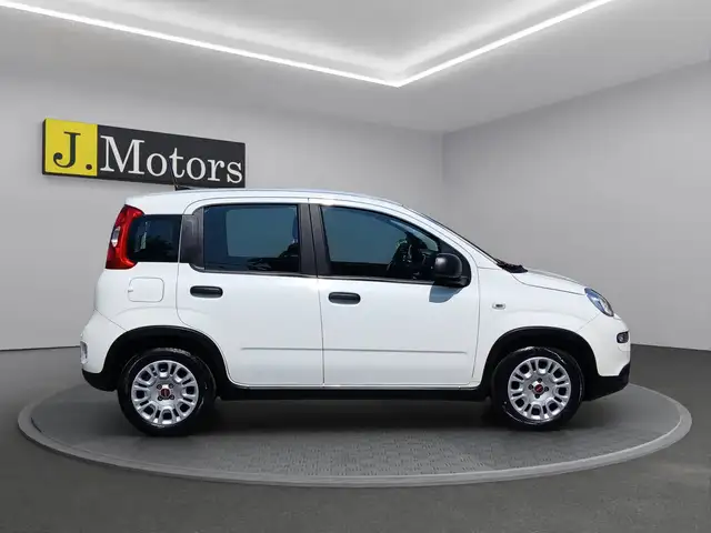Fiat Panda view 6