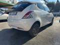 Lancia Ypsilon Ypsilon 1.2 69 CV My19 S&S Gold Bianco - thumbnail 10