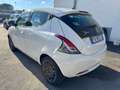Lancia Ypsilon Ypsilon 1.2 69 CV My19 S&S Gold Bianco - thumbnail 6