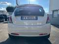 Lancia Ypsilon Ypsilon 1.2 69 CV My19 S&S Gold Bianco - thumbnail 8
