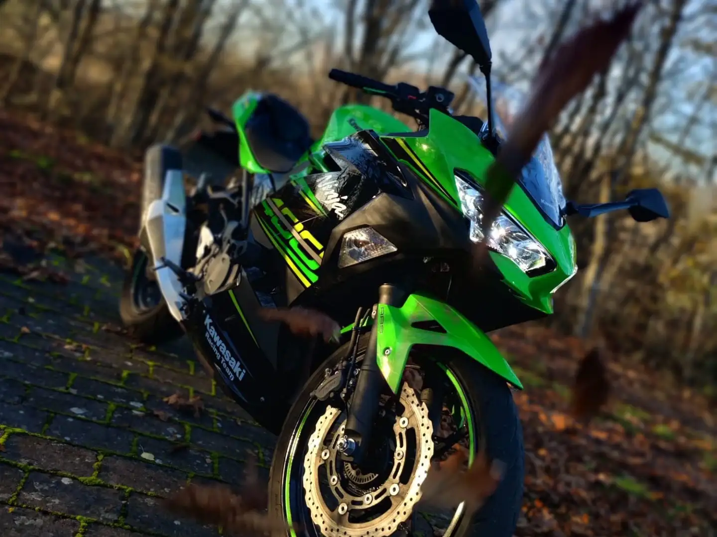 Kawasaki Ninja 400 Зелений - 1