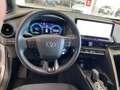Toyota C-HR 2.0 HV Lounge Grigio - thumbnail 15