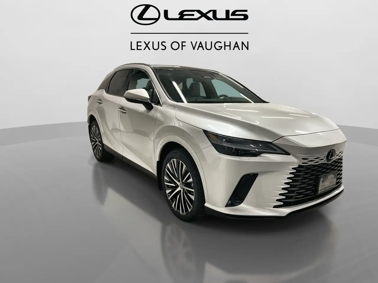 Lexus RX photo Lexus RX