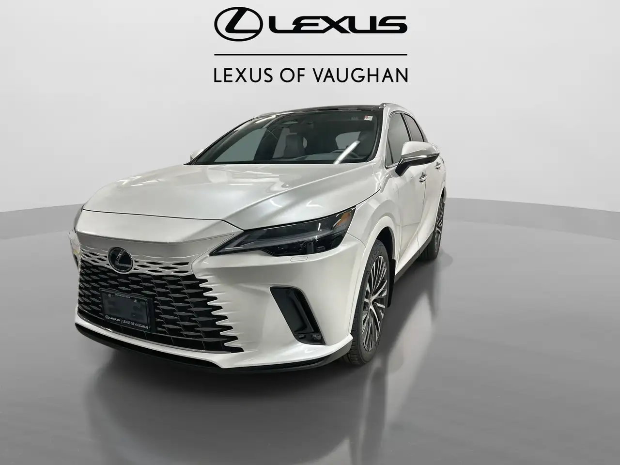 Lexus RX photo Lexus RX