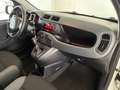 Fiat Panda 1.2 Easy  5 posti e ruota di scorta Blanco - thumbnail 13