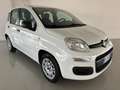 Fiat Panda 1.2 Easy  5 posti e ruota di scorta Blanco - thumbnail 2