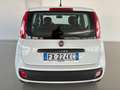 Fiat Panda 1.2 Easy  5 posti e ruota di scorta Blanco - thumbnail 7