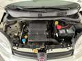 Fiat Panda 1.2 Easy  5 posti e ruota di scorta Blanco - thumbnail 18