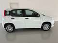 Fiat Panda 1.2 Easy  5 posti e ruota di scorta Blanco - thumbnail 4