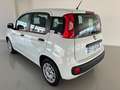 Fiat Panda 1.2 Easy  5 posti e ruota di sorta Bianco - thumbnail 6
