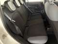 Fiat Panda 1.2 Easy  5 posti e ruota di scorta Blanco - thumbnail 16