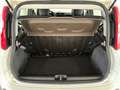 Fiat Panda 1.2 Easy  5 posti e ruota di scorta Blanco - thumbnail 8