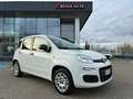 Fiat Panda 1.2 Easy  5 posti e ruota di scorta Blanco - thumbnail 1