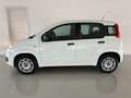 Fiat Panda 1.2 Easy  5 posti e ruota di sorta Bianco - thumbnail 5