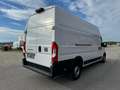 Fiat Ducato L4H3 KW 35 MAXI *Preis inkl. NoVA* (=CAMPER-Basis) Weiß - thumbnail 7