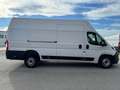 Fiat Ducato L4H3 KW 35 MAXI *Preis inkl. NoVA* (=CAMPER-Basis) Weiß - thumbnail 8
