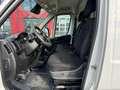 Fiat Ducato L4H3 KW 35 MAXI *Preis inkl. NoVA* (=CAMPER-Basis) Weiß - thumbnail 12