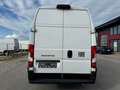 Fiat Ducato L4H3 KW 35 MAXI *Preis inkl. NoVA* (=CAMPER-Basis) Weiß - thumbnail 4