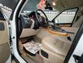 Land Rover Range Rover Sport 3.0TDV6 HSE Aut. Blanco - thumbnail 13