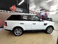 Land Rover Range Rover Sport 3.0TDV6 HSE Aut. Blanco - thumbnail 12