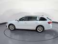 Skoda Octavia Combi 1.5 TSI mHEV DSG Selection *TEMPOM Weiß - thumbnail 3