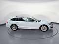 Skoda Octavia Combi 1.5 TSI mHEV DSG Selection *TEMPOM Wit - thumbnail 4