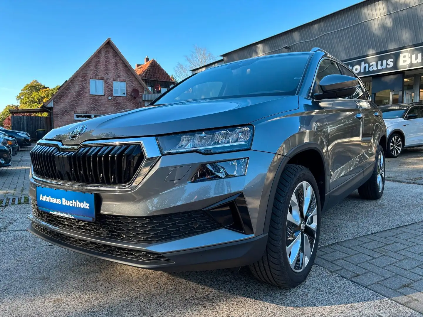 Skoda Karoq 1.5 TSI DSG Selection Grau - 1