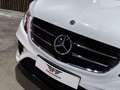Mercedes-Benz Marco Polo V250d*AUT*37.922 km*FULL-OPTION*AMG*4 SLP.* Biały - thumbnail 11