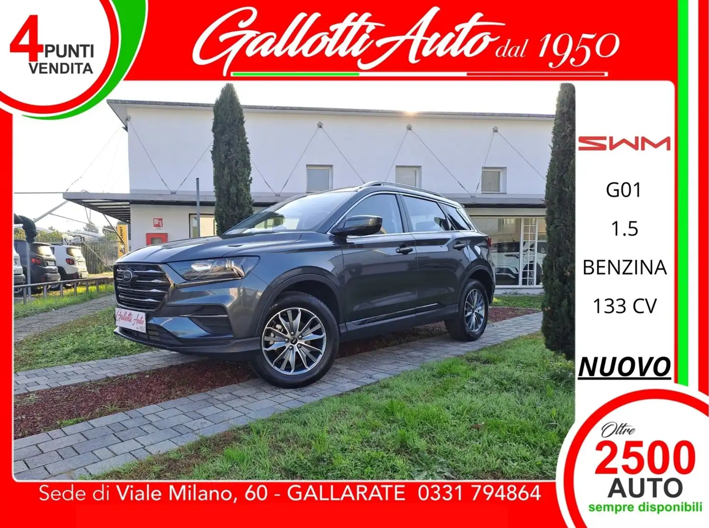 SWM G01 5 ANNI DI GARANZIA Grau - 1